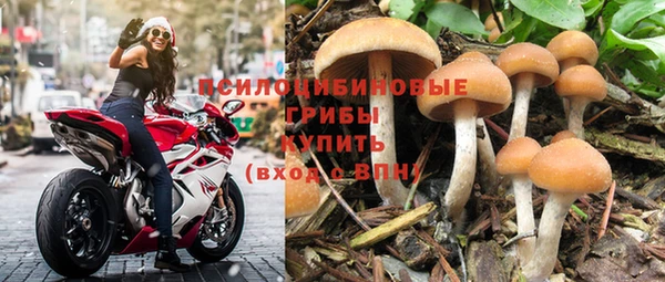 стафф Балахна