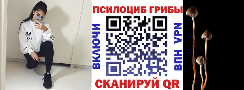 Псилоцибиновые грибы Psilocybe  KRAKEN вход  Феодосия 
